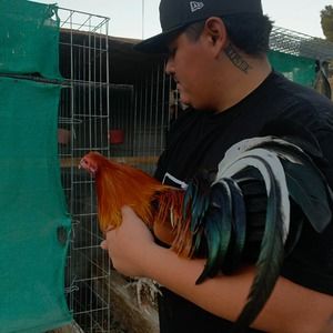 Meet your Posher, Alex